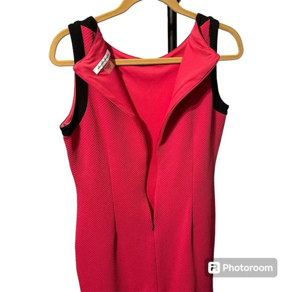 Allison Daley Dress Size 8 Stunning Red with Black Sleek Stripe Midi Knee Length - Picture 3 of 4